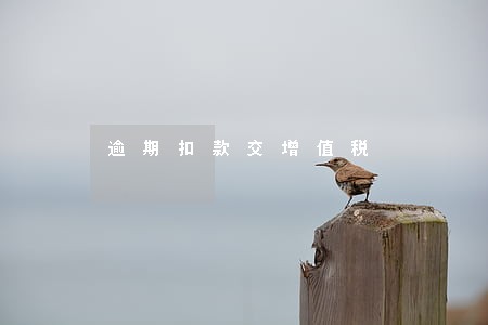 逾期扣款交增值税 逾期扣款交增值税