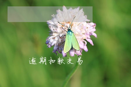 逾期扣款交易