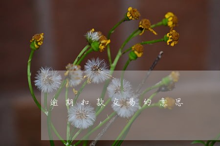 逾期扣款交易的意思
