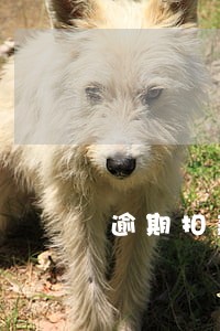 逾期扣款代表什么时候 逾期扣款代表什么时候