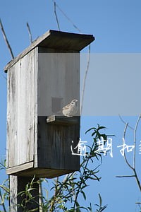 逾期扣款会计分录 逾期扣款会计分录