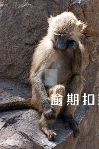 逾期扣款会计分录怎么 逾期扣款会计分录怎么