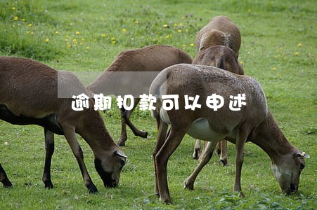 逾期扣款可以申述