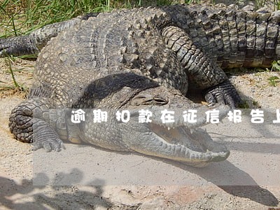 逾期扣款在征信报告上没有记录 逾期扣款在征信报告上没有记录