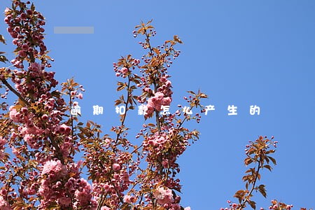 逾期扣款怎么产生的