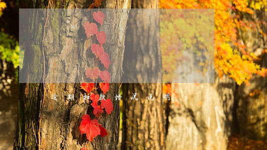 逾期扣款情况说明 逾期扣款情况说明
