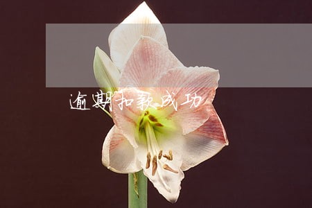 逾期扣款成功 逾期扣款成功