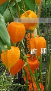 逾期扣款把银行卡里钱全扣了 逾期扣款把银行卡里钱全扣了