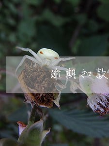 逾期扣款是从所有卡扣么 逾期扣款是从所有卡扣么