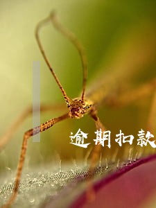 逾期扣款检讨书 逾期扣款检讨书