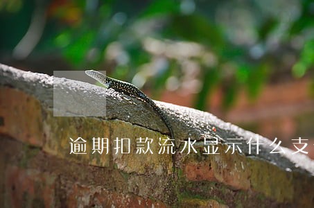 逾期扣款流水显示什么支付