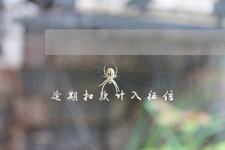 逾期扣款计入征信 逾期扣款计入征信