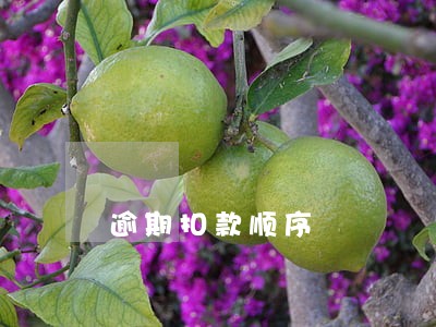 逾期扣款顺序 逾期扣款顺序