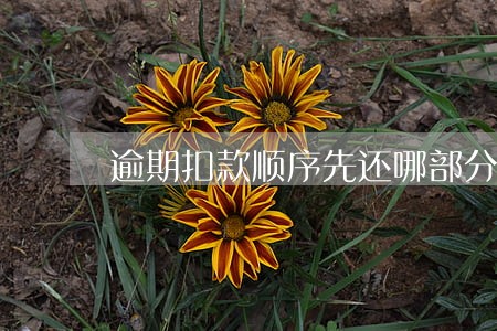 逾期扣款顺序先还哪部分 逾期扣款顺序先还哪部分
