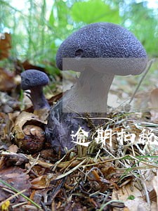 逾期扣税会影响企业评级吗 逾期扣税会影响企业评级吗