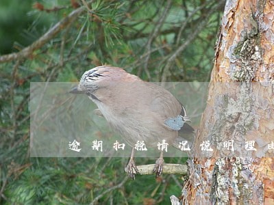逾期扣税情况说明理由 逾期扣税情况说明理由