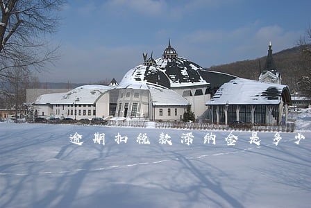 逾期扣税款滞纳金是多少 逾期扣税款滞纳金是多少