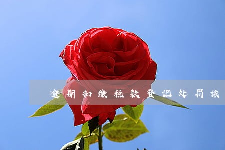 逾期扣缴税款登记处罚依据