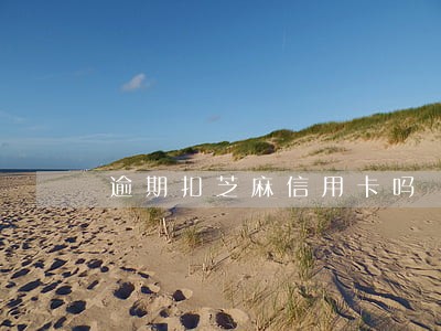 逾期扣芝麻信用卡吗