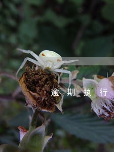 逾期执行会冻结名下银行卡吗 逾期执行会冻结名下银行卡吗