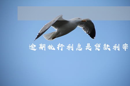逾期执行利息是贷款利率 逾期执行利息是贷款利率
