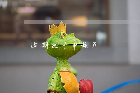 逾期执行审核员 逾期执行审核员