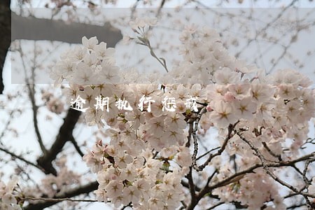 逾期执行惩戒
