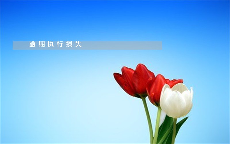 逾期执行损失 逾期执行损失