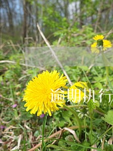 逾期执行日利息 逾期执行日利息