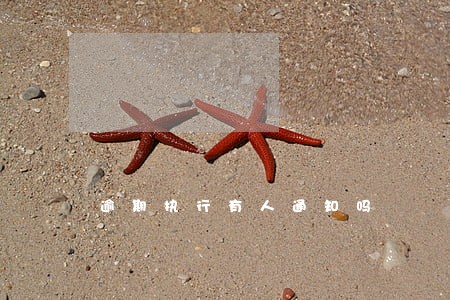 逾期执行有人通知吗 逾期执行有人通知吗