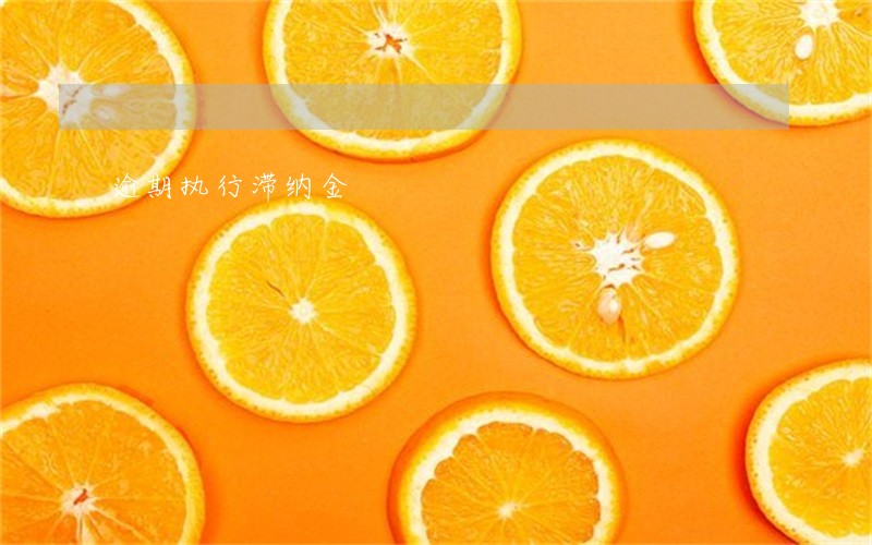 逾期执行滞纳金