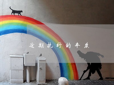 逾期执行的本质 逾期执行的本质