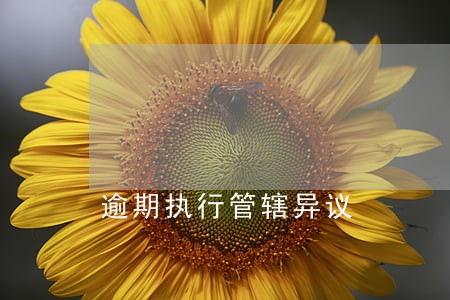 逾期执行管辖异议 逾期执行管辖异议