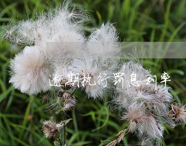 逾期执行罚息利率 逾期执行罚息利率