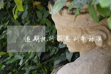 逾期执行罚息利率标准