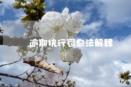 逾期执行罚息法解释 逾期执行罚息法解释