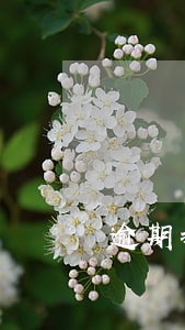 逾期执行账号被冻结影响出行吗 逾期执行账号被冻结影响出行吗