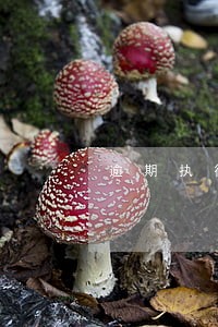 逾期执行还清后影响征信