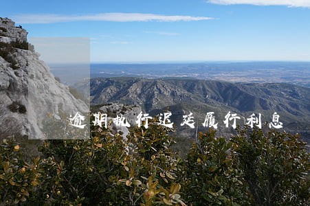 逾期执行迟延履行利息
