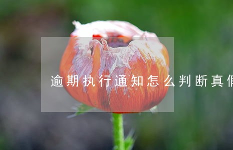 逾期执行通知怎么判断真假 逾期执行通知怎么判断真假
