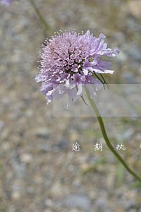 逾期执行通知短信怎么查询 逾期执行通知短信怎么查询