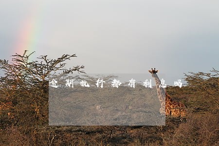 逾期执行都有利息吗 逾期执行都有利息吗