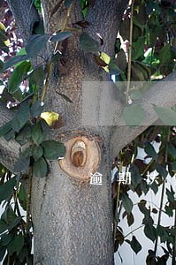 逾期扶贫小额信贷整改情况