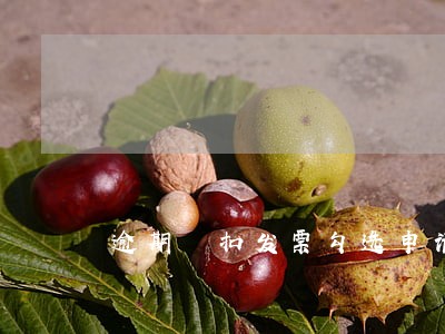 逾期扺扣发票勾选申请是什么意思 逾期扺扣发票勾选申请是什么意思