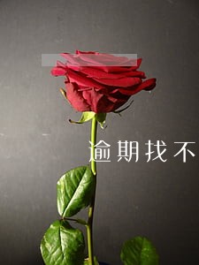 逾期找不到工作 逾期找不到工作