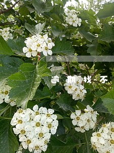 逾期找不到工作怎么办 逾期找不到工作怎么办