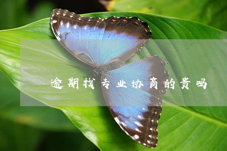 逾期找专业协商的贵吗