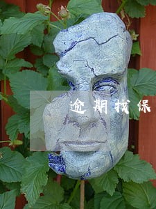 逾期找保证保险和全额担保 逾期找保证保险和全额担保