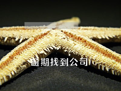 逾期找到公司 逾期找到公司