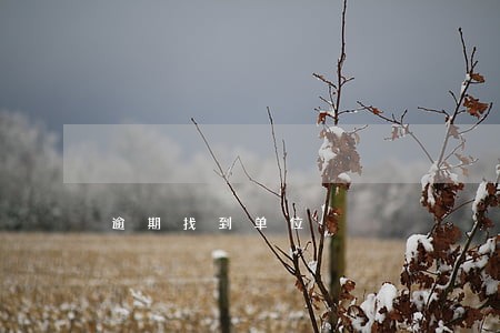 逾期找到单位 逾期找到单位
